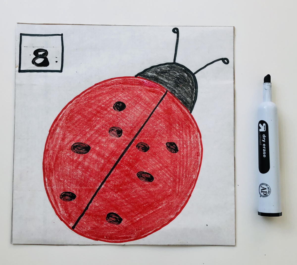 Ladybug Math
